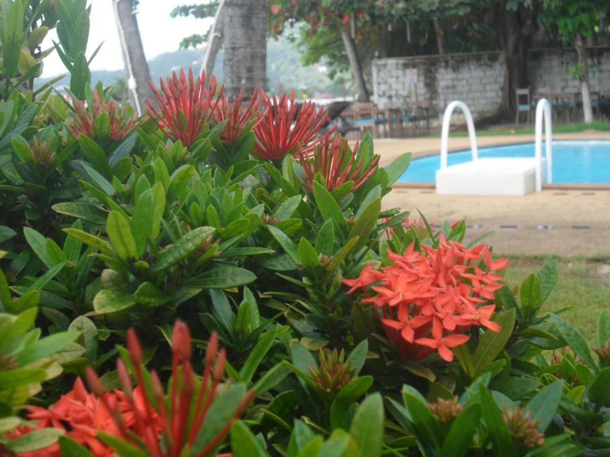 Blu' Beach Bungalows Lamai Beach  Exteriör bild